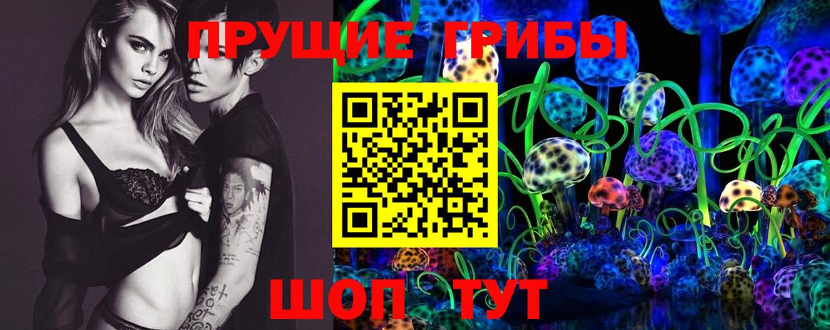 Псилоцибиновые грибы мухоморы Старая Русса