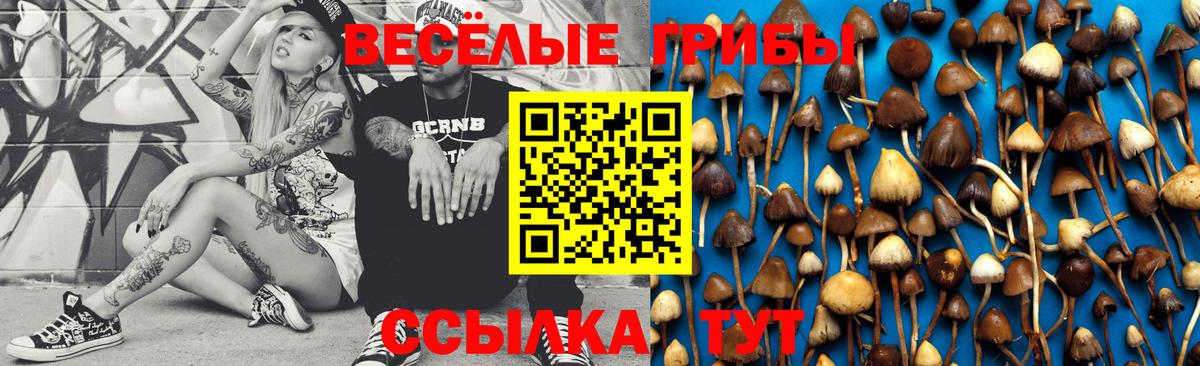 Галлюциногенные грибы MAGIC MUSHROOMS  Галлюциногенные грибы Psilocybe  продажа наркотиков  Вход с VPN  Старая Русса 